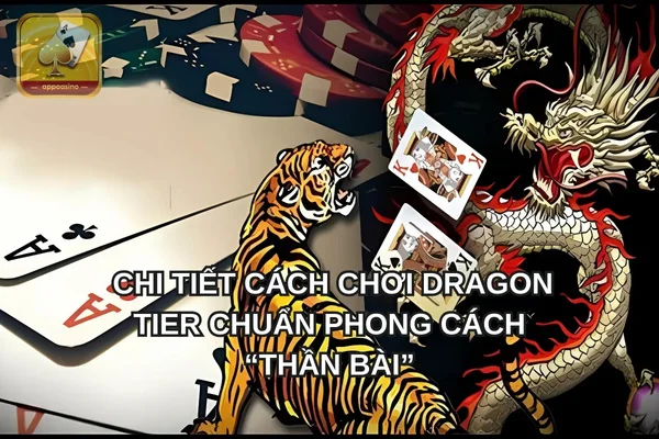 Chi tiết cách chơi dragon tier chuẩn phong cách “thần bài”