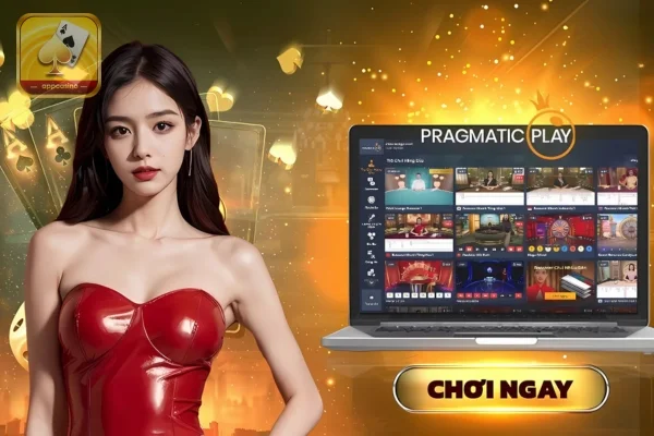 PP Casino - Nhà cung cấp trò chơi trực tuyến hàng đầu